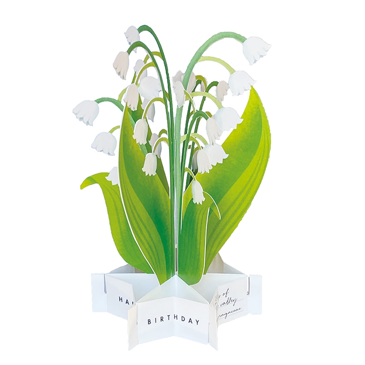 Pop-up 360 Blooming Card Lily Of The Valley