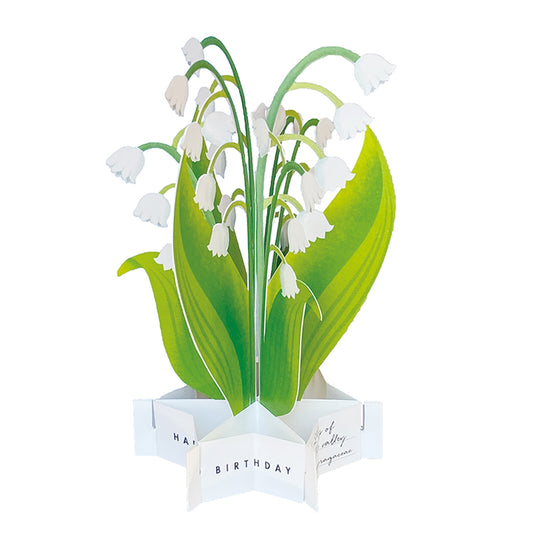 Pop-up 360 Blooming Card Lily Of The Valley