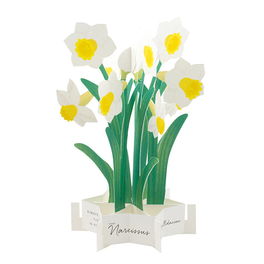 Pop-up 360 Blooming Card Daffodil