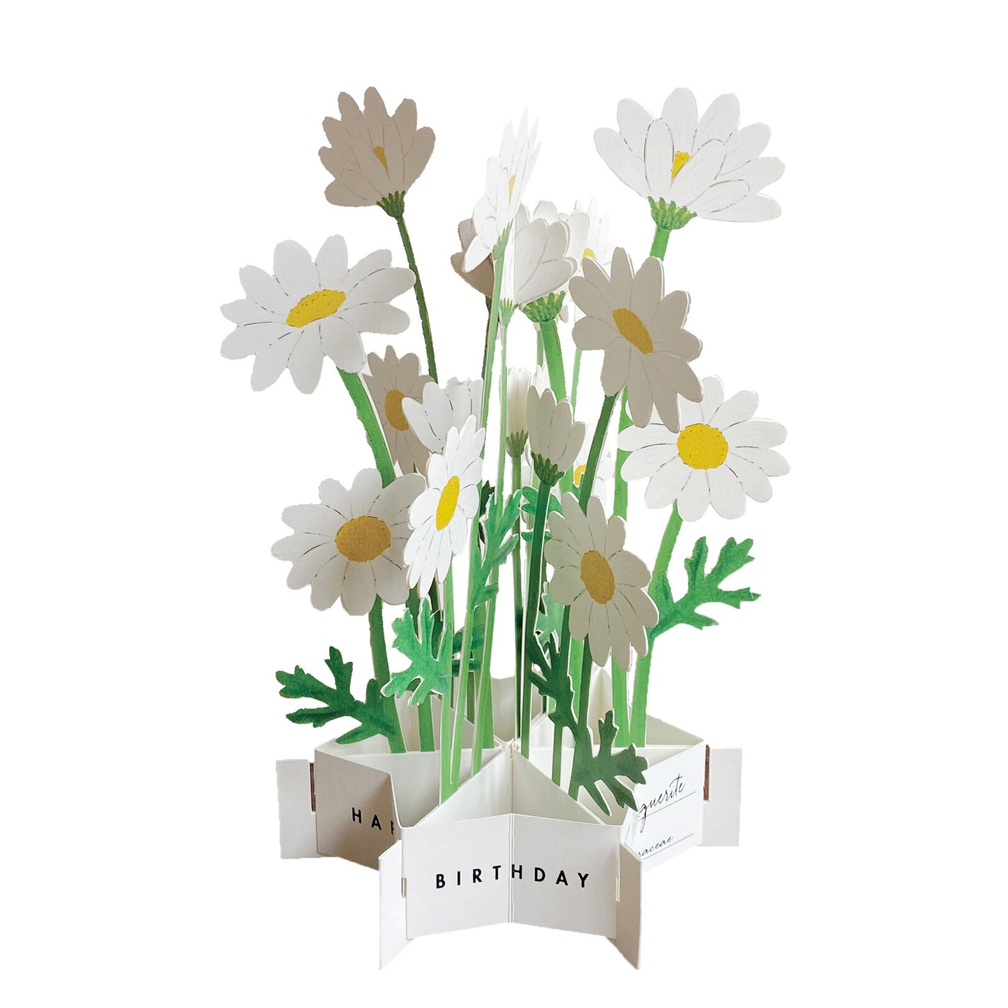 Pop-up 360 Blooming Card Margaret