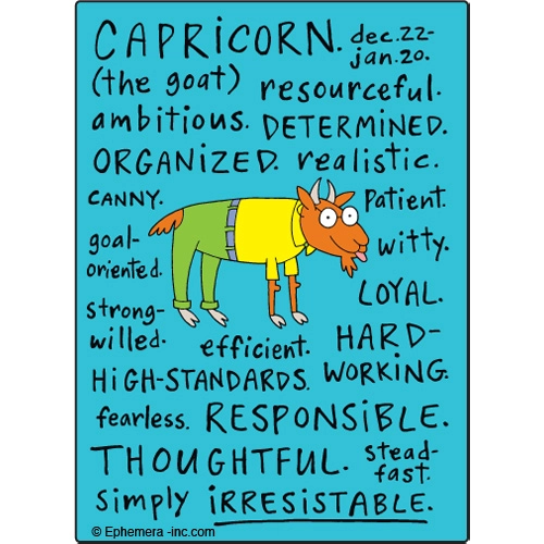 Zodiac Magnet Nice Capricorn