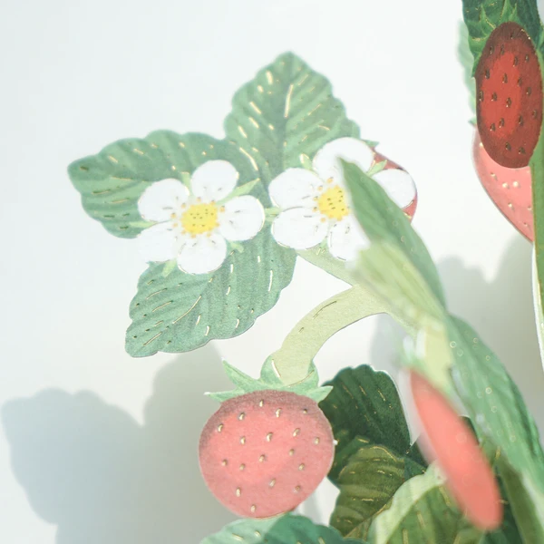 Pop-up 360 Mini Blooming Card Strawberry