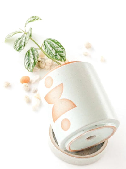 Form 12oz Wild Fig & Vetiver Candle