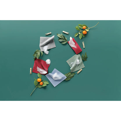 Swedish Dishcloth Carmine Set of 2