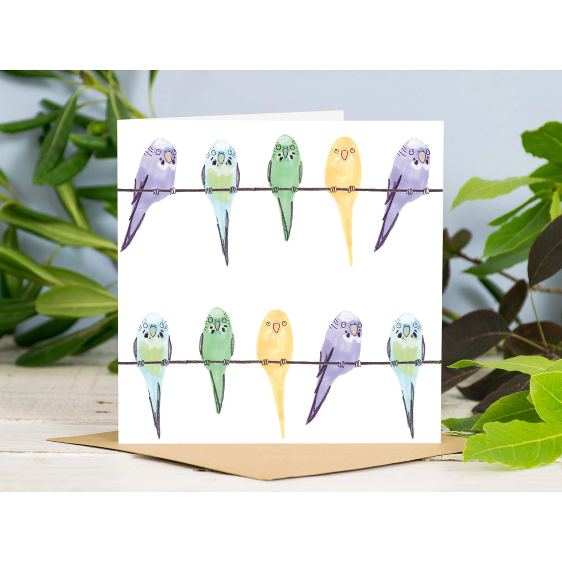 Budgies Card