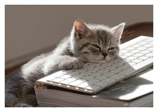 Caturday Birthday Card