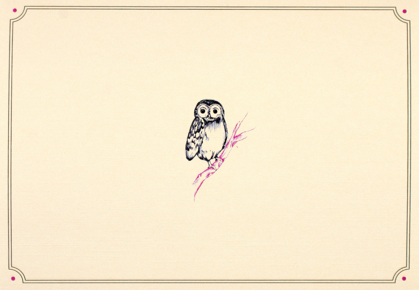 Owl Portrait Blank Boxed Cards