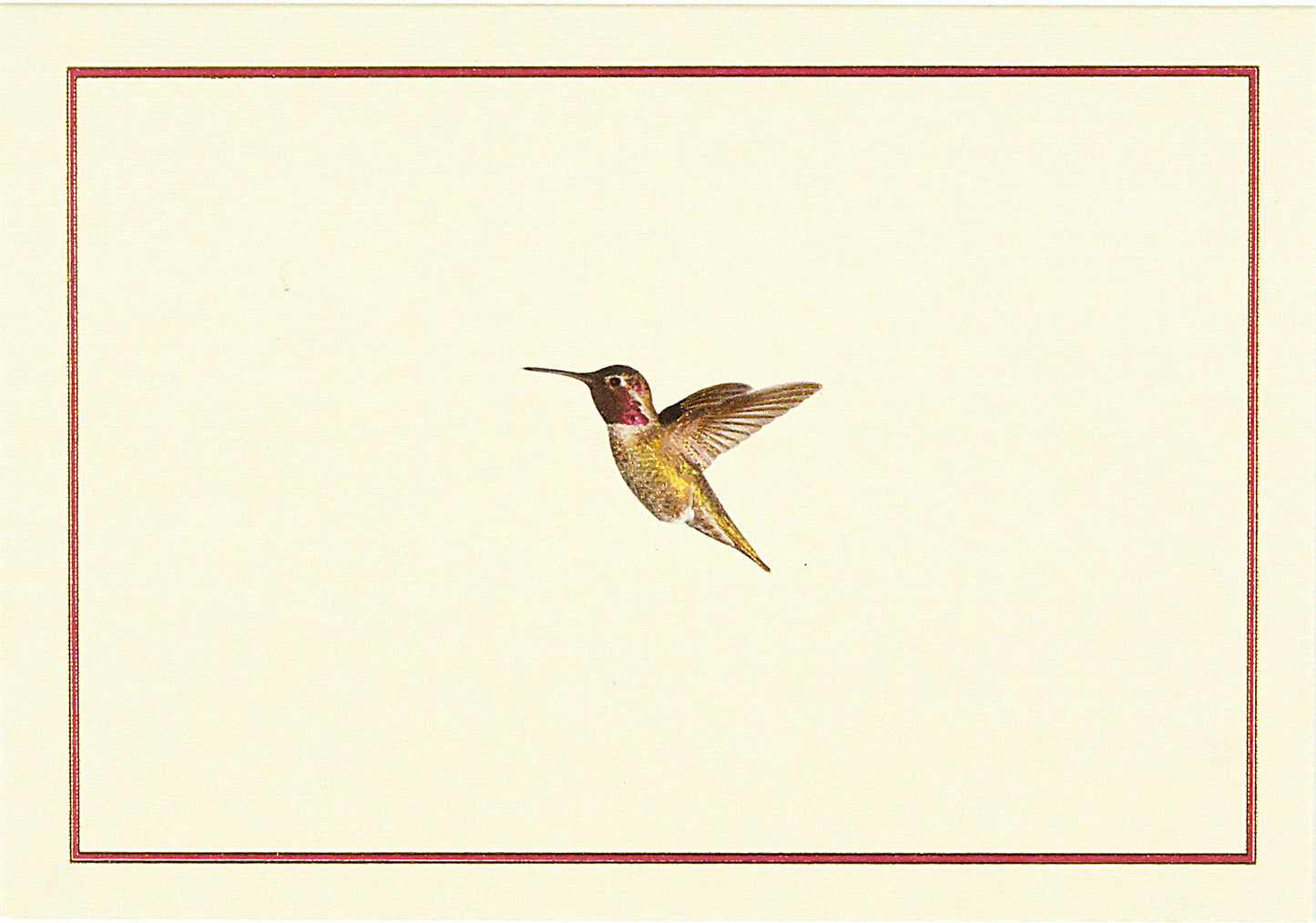Hummingbird Flight Blank Boxed Cards