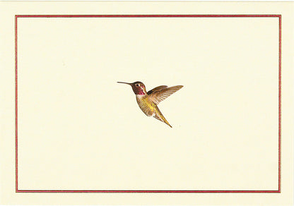 Hummingbird Flight Blank Boxed Cards