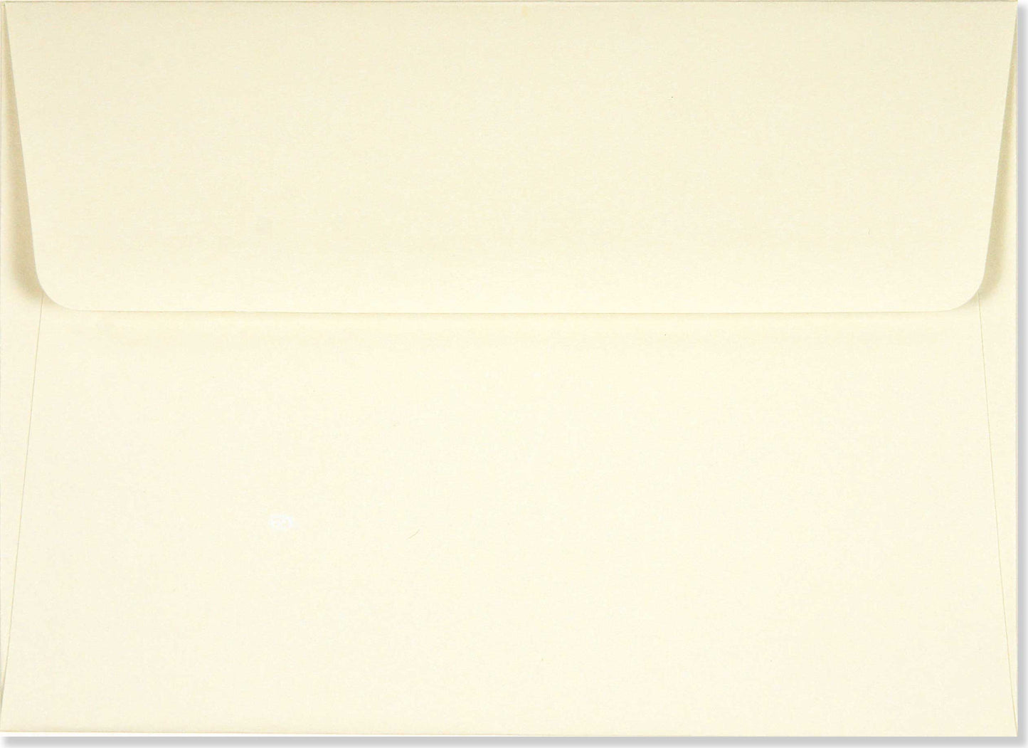 Hummingbird Flight Blank Boxed Cards