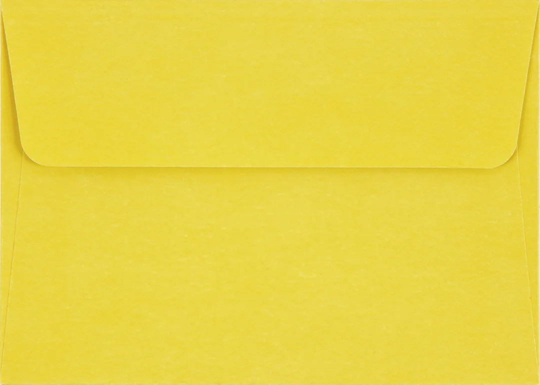 Tiffany Lemon Tree Blank Boxed Cards