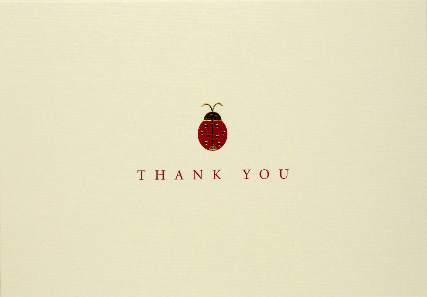 Ladybug Thank You Boxed Cards