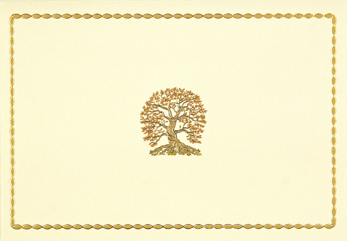 Tree Of Life Blank Boxed Cards