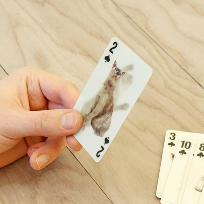 Cats 3D Playing Card