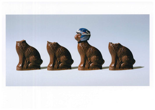 Chocolate Bunnies Birthday Card