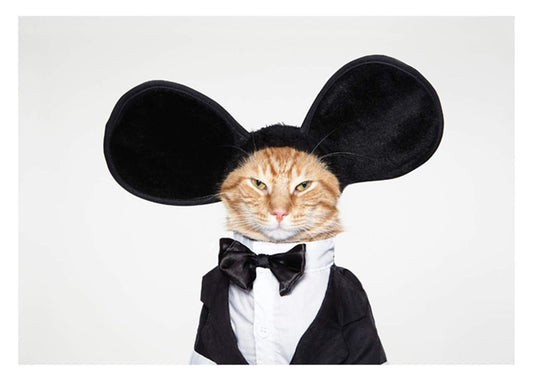 Cat As Mouse Birthday Card