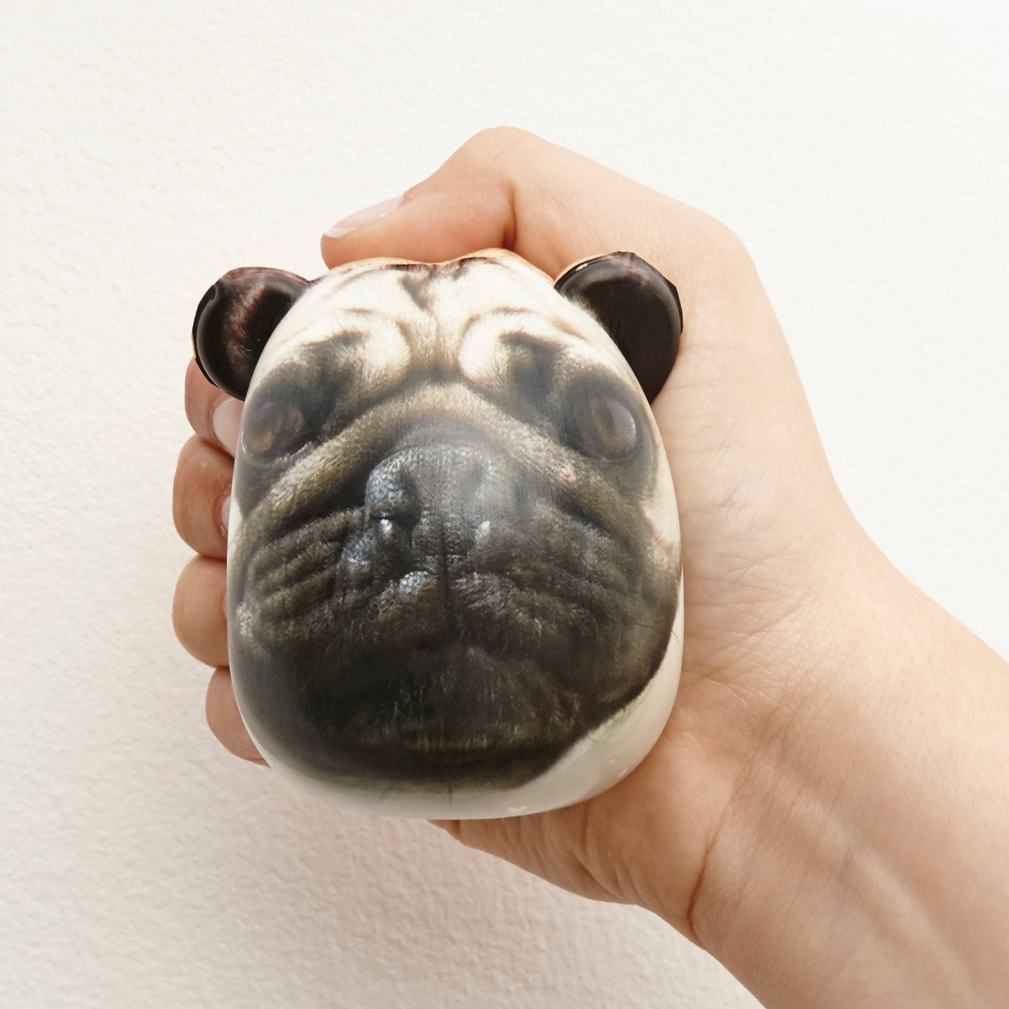 Dog Stress Ball