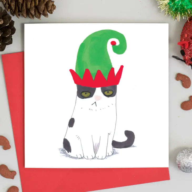 Cats in Christmas Hats 6 Assorted Christmas Cards Cello Pack